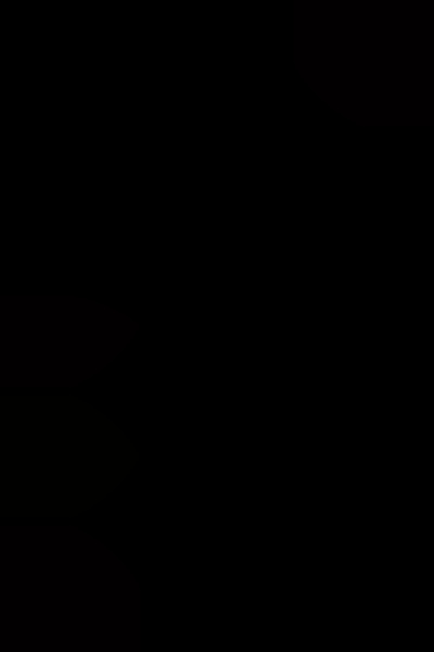 Dragons of the fallen sky