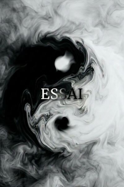 Essai (En Français)