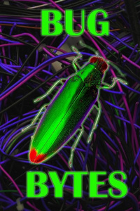 Bug Bytes