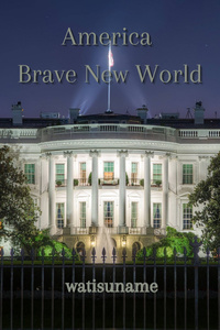 America Brave New World