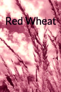 Red Wheat