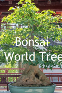Bonsai World Tree(Shelved Timeline)