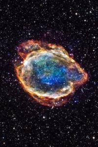 Reborn into the Magus World