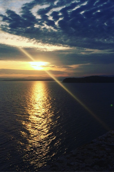 The Phoenix and the Water King