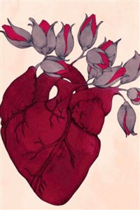 Short Story Collection