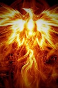 Slave 53: The Phoenix