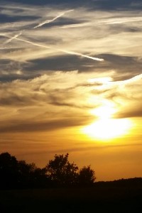 The Song of Sorrow (Finished)