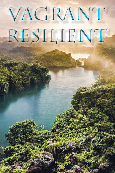 Vagrant Resilient