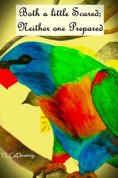 Both a little Scared; Neither one Prepared (Complete)