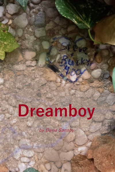 Dreamboy