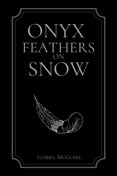 Onyx Feathers on Snow