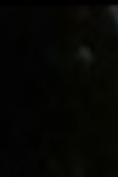 A New Light In Interria