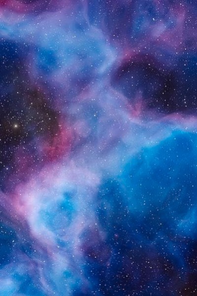 The Human Security Officer