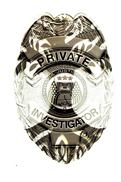 Interdimensional Logs