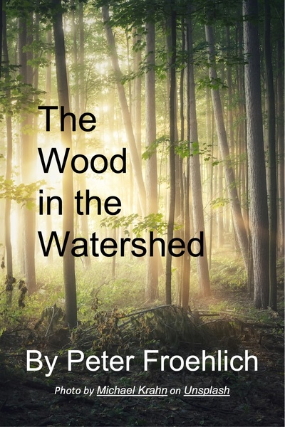 The Wood in the Watershed